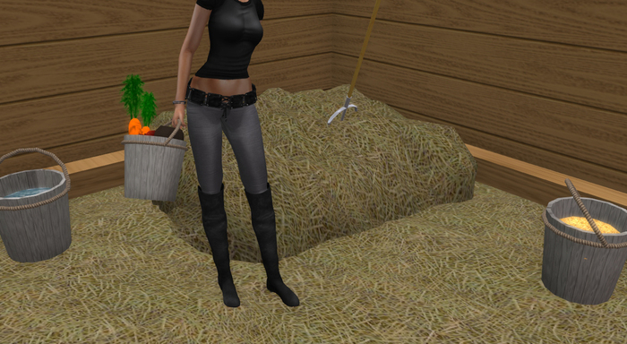 Carry bucket w/food and water