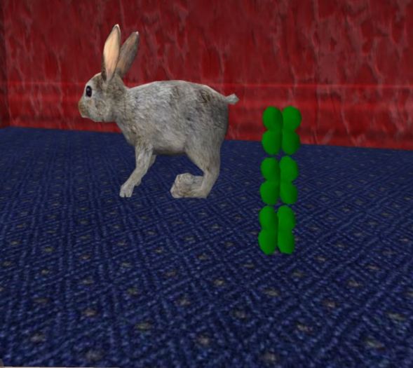 Rabbit Rodeo