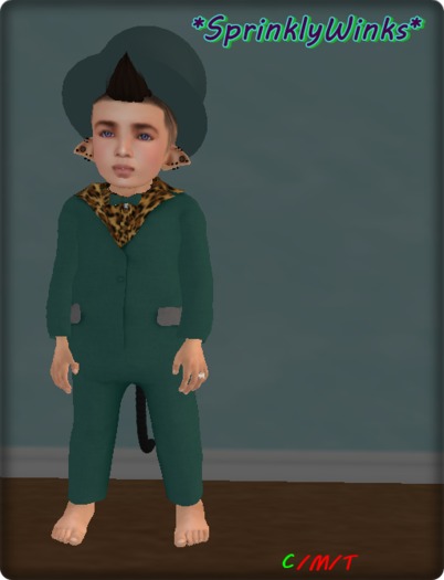*S*W* Crazy Tux
