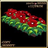 LW_ Primroses and Coleus Planter - Green Red 4 (1 LI / Prim)