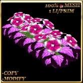 LW_ Primroses and Coleus Planter - Purple Pink (1 LI / Prim)