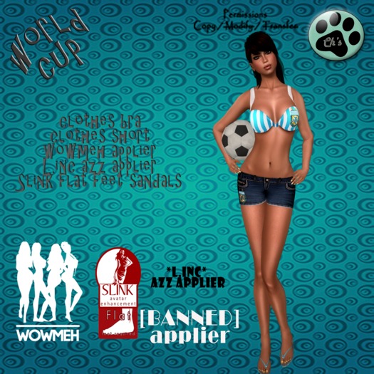 Ch's Argentina World Cup