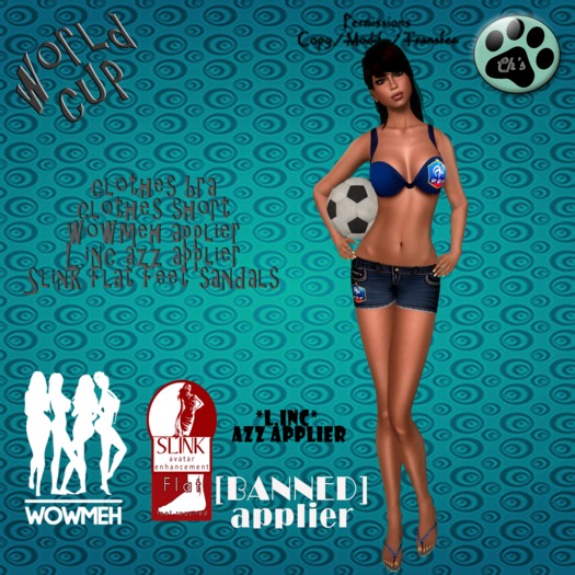 Ch's France World Cup