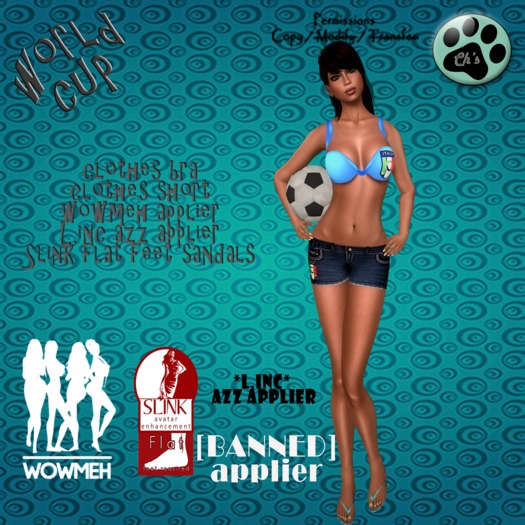 Ch's Italy World Cup