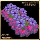 LW_ Primroses and Coleus Planter - Purple Purple (1 LI / Prim)