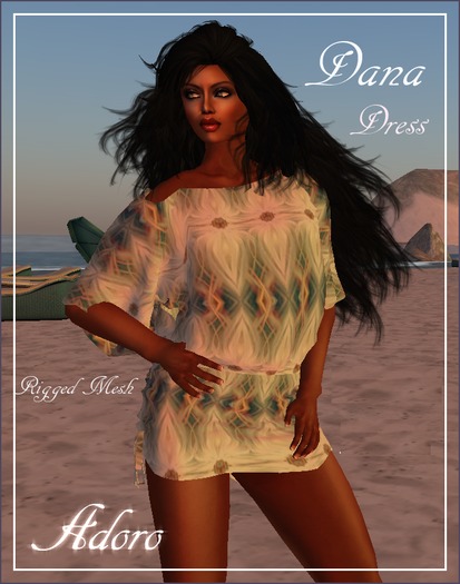 Dana  Tunic  Dress