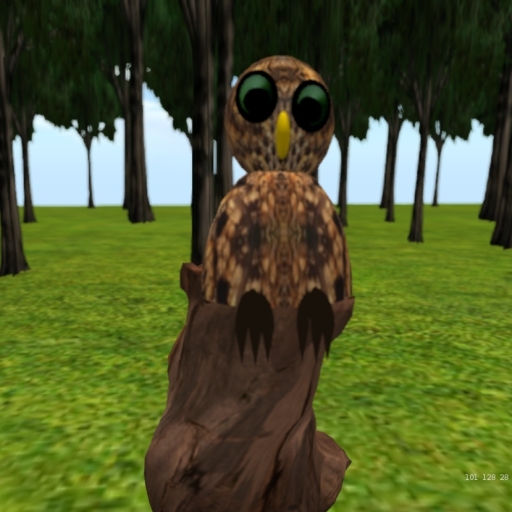 Owl sitting-brown spotted