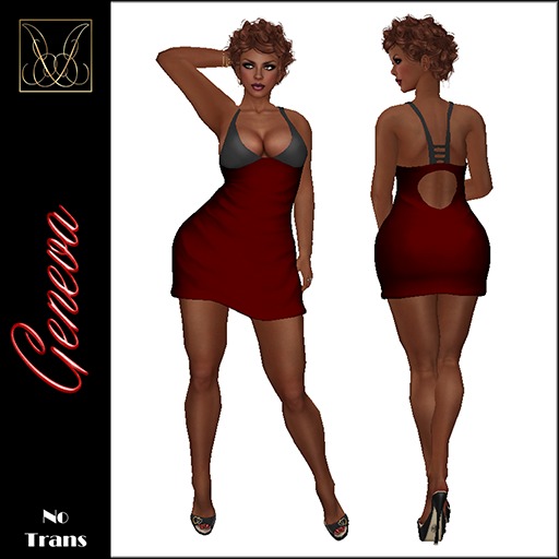 JCD Geneva Red Mesh Mini