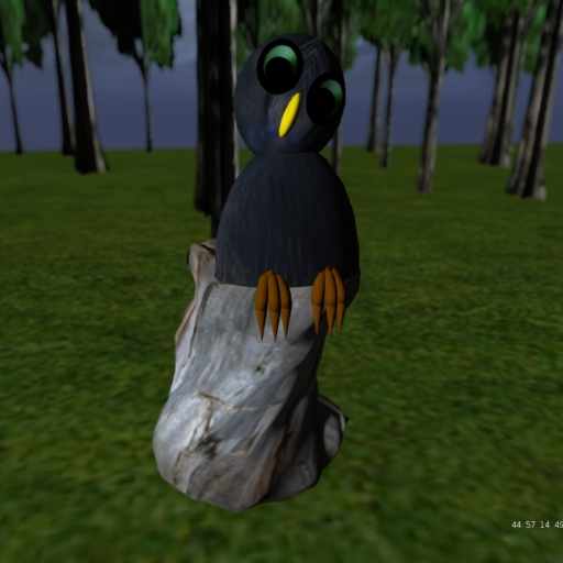 Owl-darker, head tilted right side