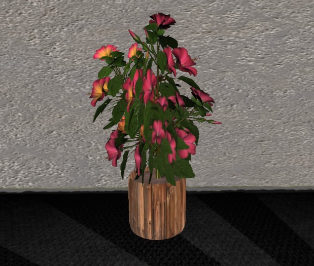 {KS} - Hibiscus In Wood Planter