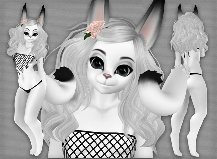 Kemono Kitsune - Arctic