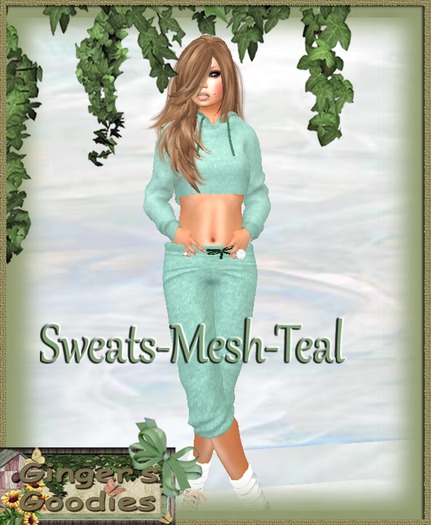 Mesh Sweats-Teal( Hold&Click)