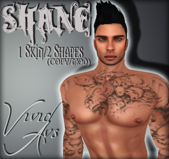 Shane Shape 2-PACK! COPY/MOD Vivid Avs