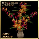 LW_JapaneseBallonFlowersWhite