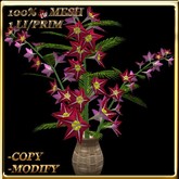 LW_ Cypress Vine in Vase Red Pink (1 LI / Prim)