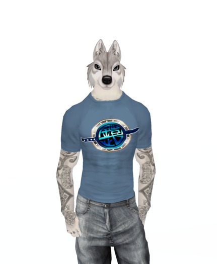 Kamen Rider Gaim Tee Shirt