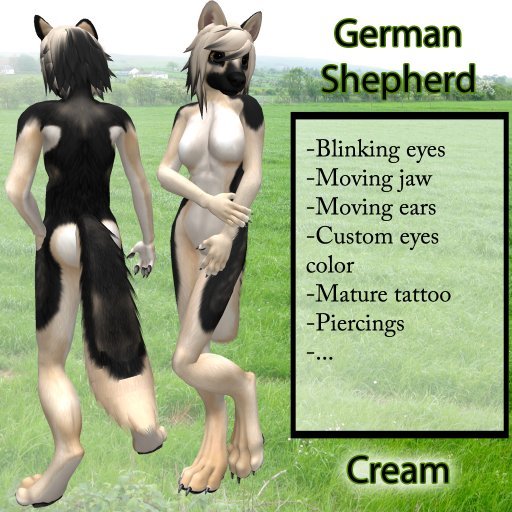 Furry German Shepherd - Cream