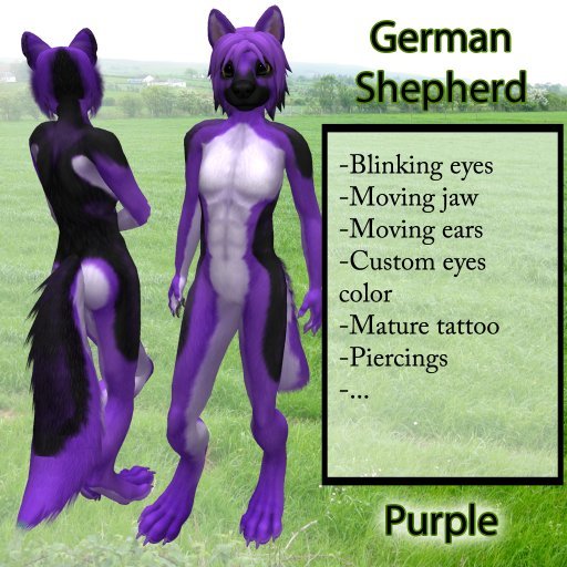 Furry German Shepherd - Purple