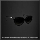 SUNGLASSES TOM250 SILVER        -RYCA-