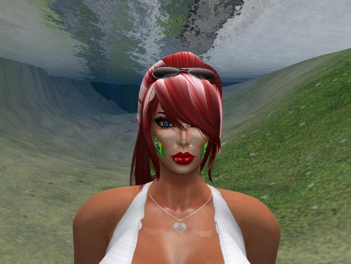 duas bandeiras brasil rosto