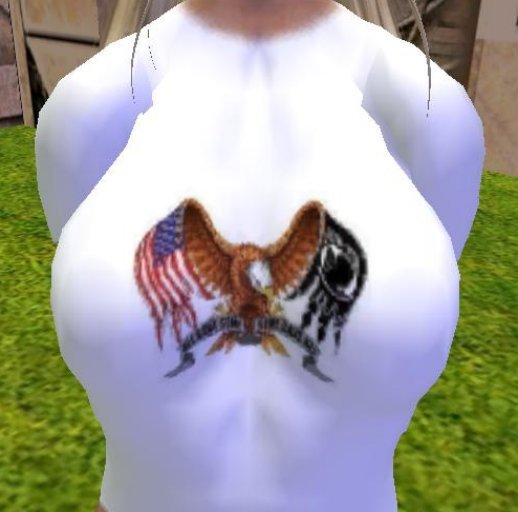 Some Gave All T-Shirt