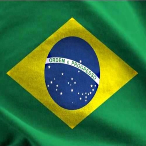 BANDEIRA DO BRASIL - MAO