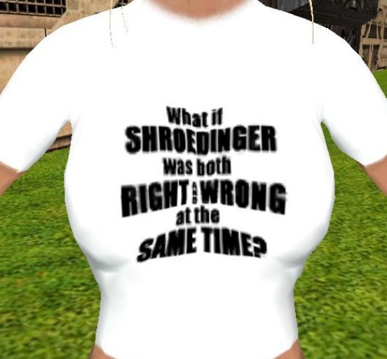 Schroedinger Right and Wrong T-Shirt