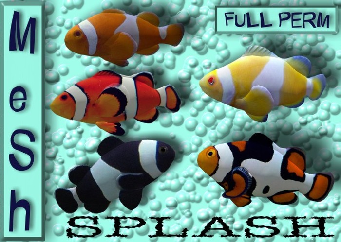 Splash BOX  Mesh Full Perm Light Blue  female Beta 0.5/1