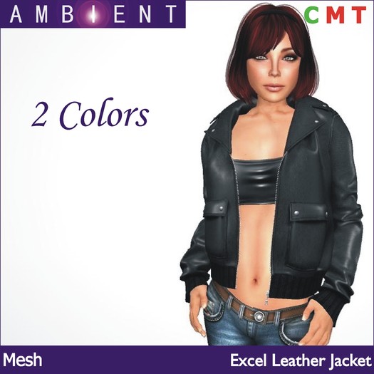 [AMBI] Mesh Moto Leather Jacket (Boxed)