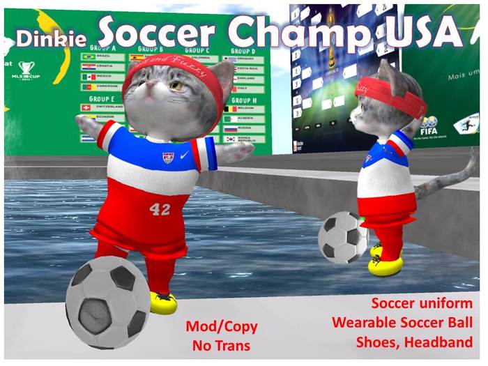 Dinkie Soccer Champ USA 
