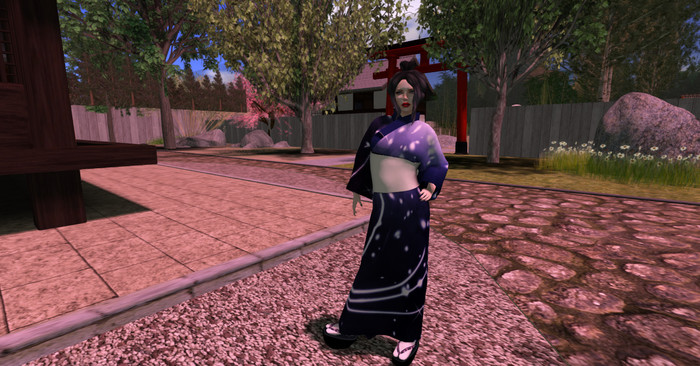 {T.D.} Kimono Endless (Boxed)