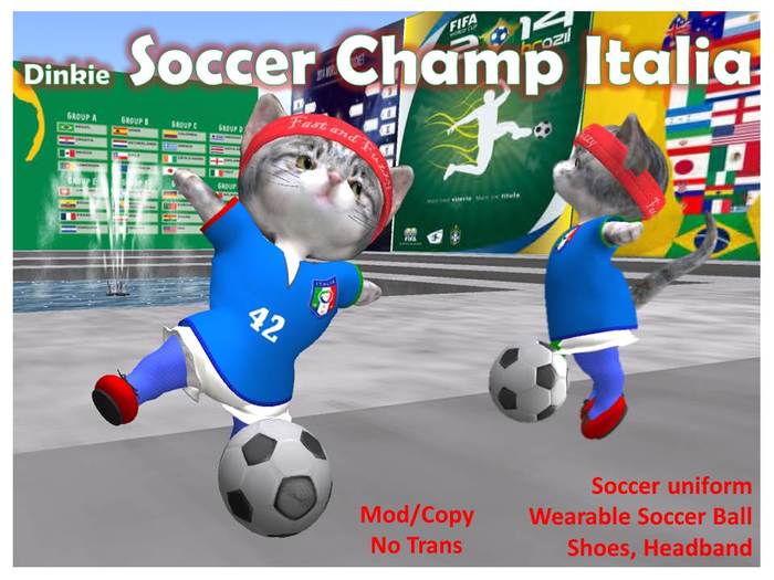 Dinkie Soccer Champ Italia