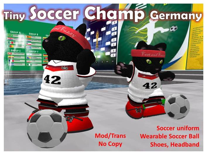 Tiny Soccer Champ Germany