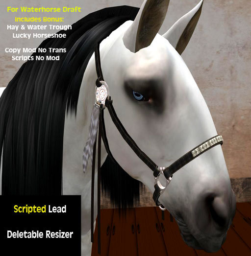 WaterHorse Draft Scripted Halter