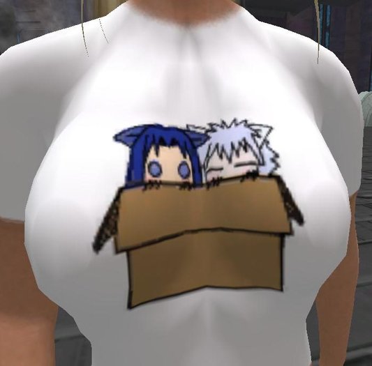 Catgirls in a Box T-Shirt