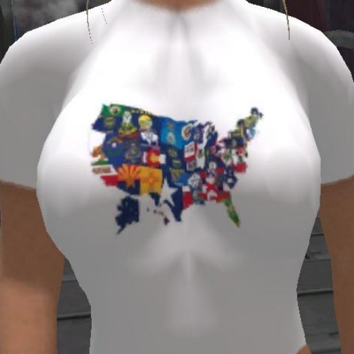 Flags of America T-Shirt
