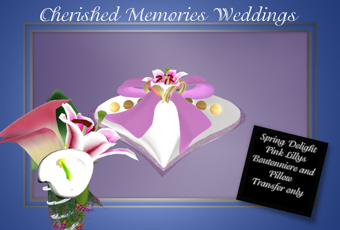 Ring Bearer pillow and Boutonniere Green