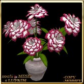 LW_ Carnation Plant in Vase - Cardinal Red White (1 LI / Prim)
