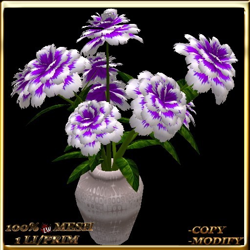 LW_ Carnation Plant in Vase - Raspberry White (1 LI / Prim)