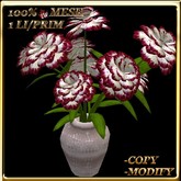 LW_ Carnation Plant in Vase - Dark Red White (1 LI / Prim)