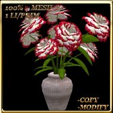 LW_ Carnation Plant in Vase - Red White (1 LI / Prim)