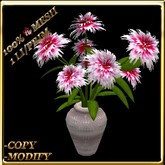 LW_ Carnation Plant in Vase - Red White Fringe (1 LI / Prim)