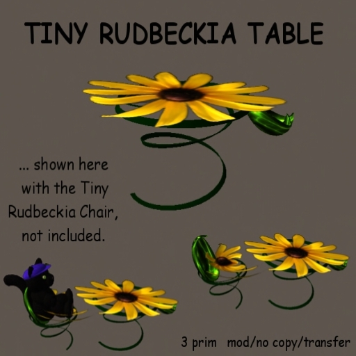 Tiny Rudbeckia Table