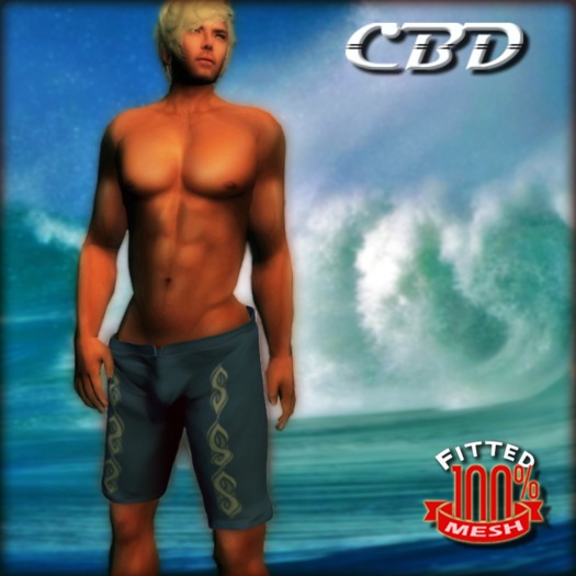 Board Shorts - Blue Graphic