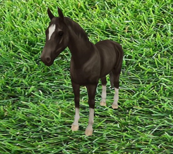 *PCD* Brown Horse Tip Jar