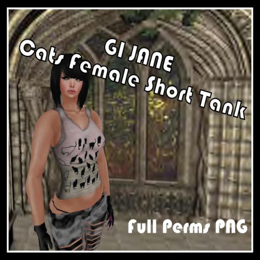 * DAR Designs Single Items * Tintable Plastic Top
