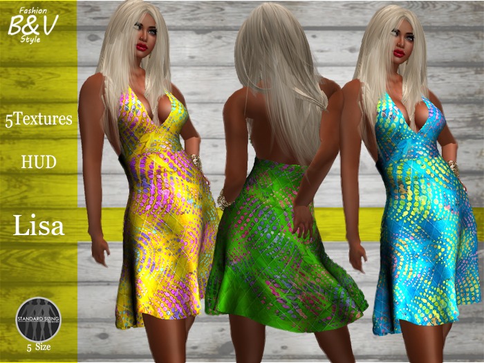 B&V-Lisa Dress Mesh