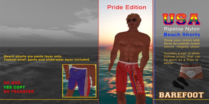 USA Ripstop Nylon Beach Shorts/Pride