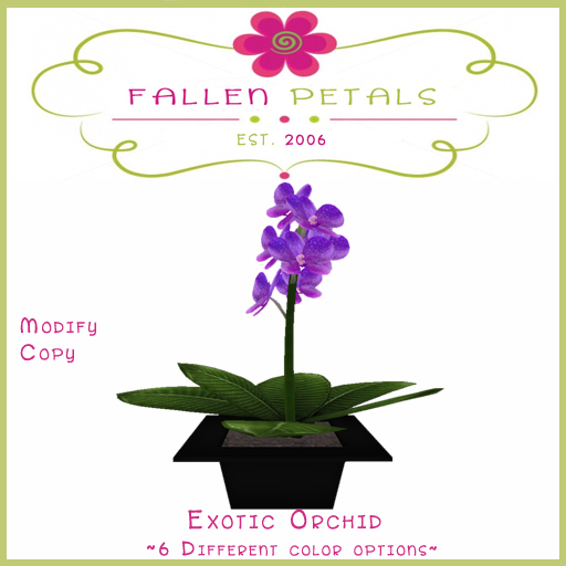 ~FP~ Exotic Orchids Copy