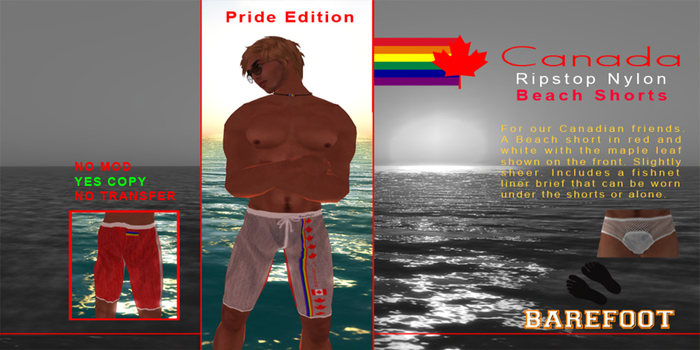 Canada Ripstop Nylon Beach Shorts/ Pride
